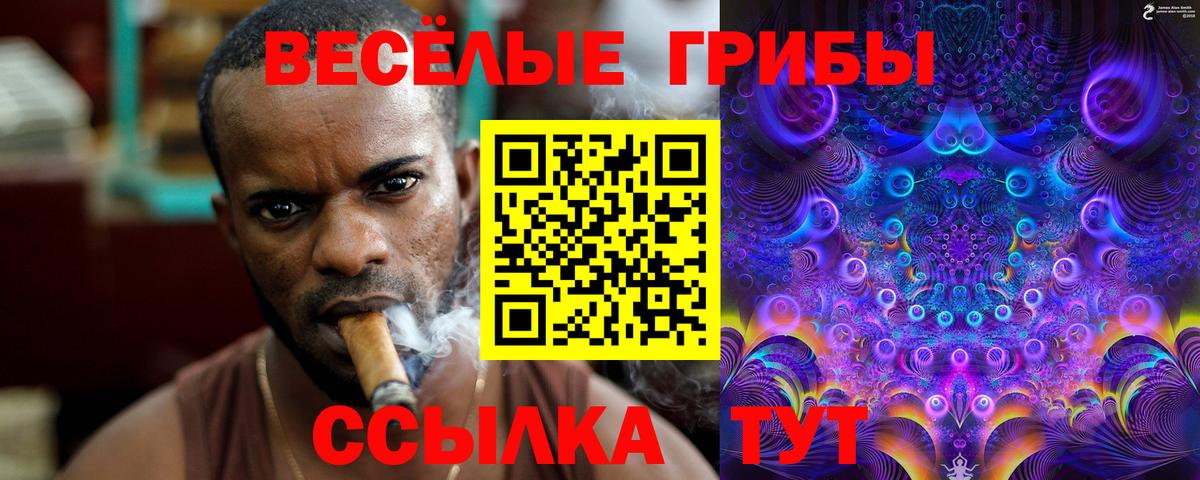 Реж  Галлюциногенные грибы мицелий  наркота  Вход с VPN 